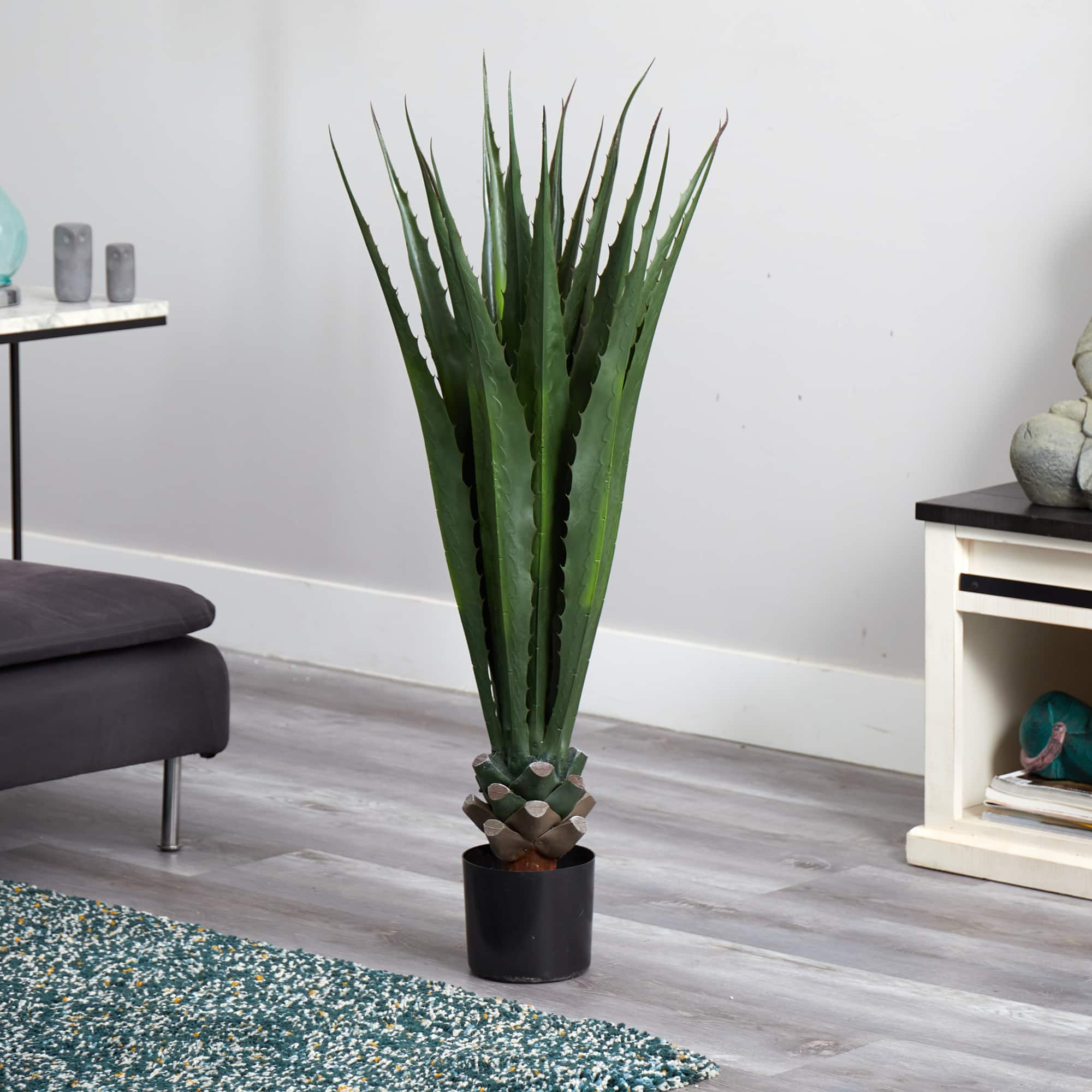 4ft. Potted Agave Plant